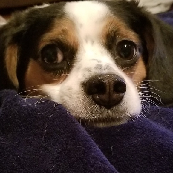 Meet your Posher, Cyndi - Picture 2 of 7